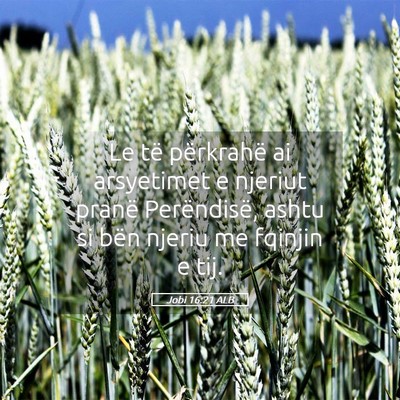 Picture 05 - Jobi 16:21 ALB - Le të përkrahë ai arsyetimet e njeriut pranë - Bible Verse Picture