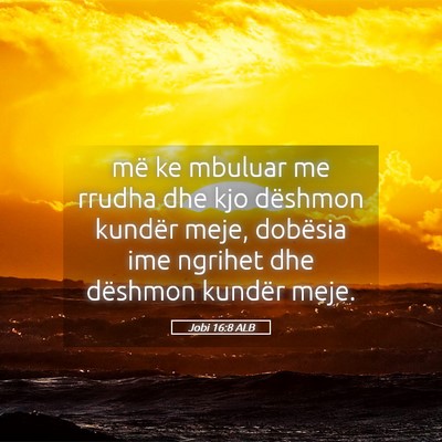 Picture 05 - Jobi 16:8 ALB - më ke mbuluar me rrudha dhe kjo dëshmon kundër - Bible Verse Picture