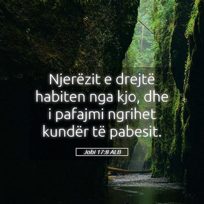 Picture 05 - Jobi 17:8 ALB - Njerëzit e drejtë habiten nga kjo, dhe i - Bible Verse Picture