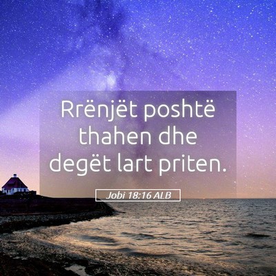 Picture 05 - Jobi 18:16 ALB - Rrënjët poshtë thahen dhe degët lart - Bible Verse Picture