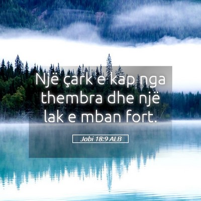 Picture 05 - Jobi 18:9 ALB - Një çark e kap nga thembra dhe një lak e mban - Bible Verse Picture