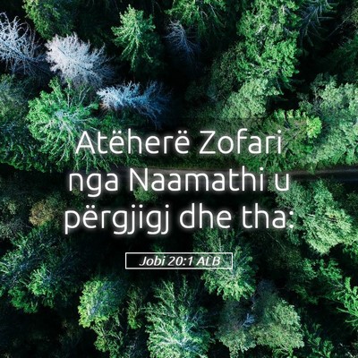 Picture 05 - Jobi 20:1 ALB - Atëherë Zofari nga Naamathi u përgjigj dhe - Bible Verse Picture