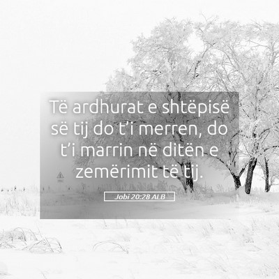 Picture 05 - Jobi 20:28 ALB - Të ardhurat e shtëpisë së tij do t’i - Bible Verse Picture