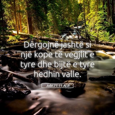 Picture 05 - Jobi 21:11 ALB - Dërgojnë jashtë si një kope të vegjlit e - Bible Verse Picture