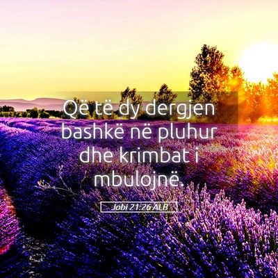 Picture 05 - Jobi 21:26 ALB - Që të dy dergjen bashkë në pluhur dhe krimbat - Bible Verse Picture