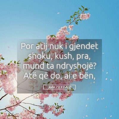 Picture 05 - Jobi 23:13 ALB - Por atij nuk i gjendet shoku, kush, pra, mund ta - Bible Verse Picture