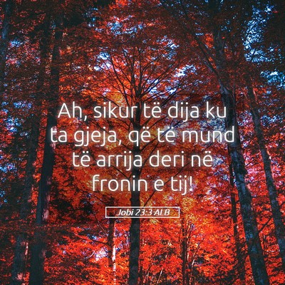 Picture 05 - Jobi 23:3 ALB - Ah, sikur të dija ku ta gjeja, që të mund të - Bible Verse Picture
