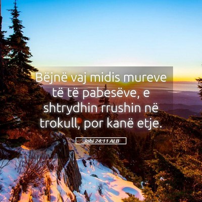 Picture 05 - Jobi 24:11 ALB - Bëjnë vaj midis mureve të të pabesëve, e - Bible Verse Picture