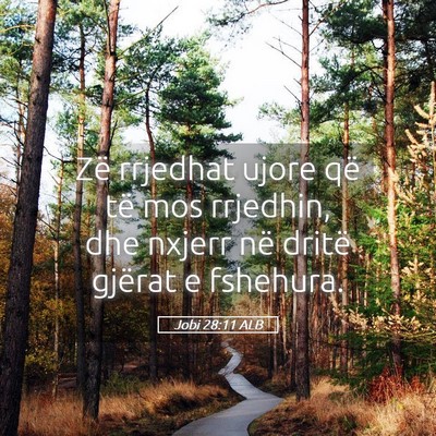 Picture 05 - Jobi 28:11 ALB - Zë rrjedhat ujore që të mos rrjedhin, dhe - Bible Verse Picture
