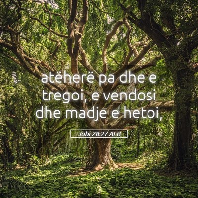 Picture 05 - Jobi 28:27 ALB - atëherë pa dhe e tregoi, e vendosi dhe madje e - Bible Verse Picture