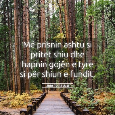 Picture 05 - Jobi 29:23 ALB - Më prisnin ashtu si pritet shiu dhe hapnin - Bible Verse Picture