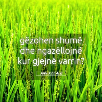 Picture 05 - Jobi 3:22 ALB - gëzohen shumë dhe ngazëllojnë kur gjejnë - Bible Verse Picture