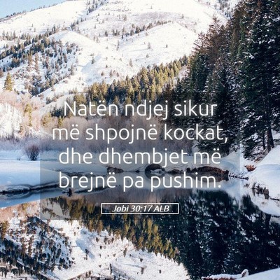 Picture 05 - Jobi 30:17 ALB - Natën ndjej sikur më shpojnë kockat, dhe - Bible Verse Picture