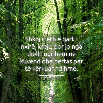 Picture 05 - Jobi 30:28 ALB - Shkoj rreth e qark i nxirë, krejt, por jo nga - Bible Verse Picture