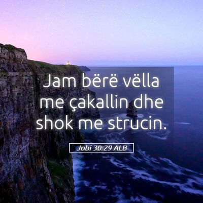 Picture 05 - Jobi 30:29 ALB - Jam bërë vëlla me çakallin dhe shok me - Bible Verse Picture