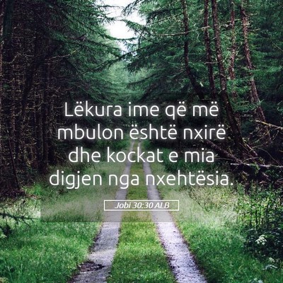 Picture 05 - Jobi 30:30 ALB - Lëkura ime që më mbulon është nxirë dhe - Bible Verse Picture