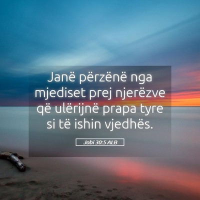 Picture 05 - Jobi 30:5 ALB - Janë përzënë nga mjediset prej njerëzve që - Bible Verse Picture