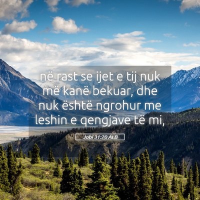 Picture 05 - Jobi 31:20 ALB - në rast se ijet e tij nuk më kanë bekuar, dhe - Bible Verse Picture