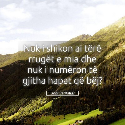 Picture 05 - Jobi 31:4 ALB - Nuk i shikon ai tërë rrugët e mia dhe nuk i - Bible Verse Picture