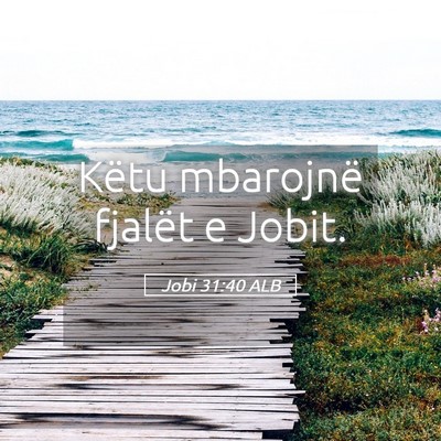Picture 05 - Jobi 31:40 ALB - Këtu mbarojnë fjalët e - Bible Verse Picture
