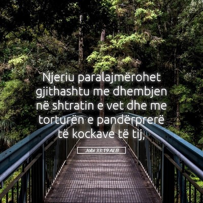 Picture 05 - Jobi 33:19 ALB - Njeriu paralajmërohet gjithashtu me dhembjen në - Bible Verse Picture
