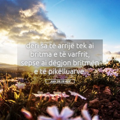 Picture 05 - Jobi 34:28 ALB - deri sa të arrijë tek ai britma e të varfrit, - Bible Verse Picture
