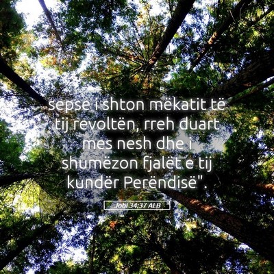 Picture 05 - Jobi 34:37 ALB - sepse i shton mëkatit të tij revoltën, rreh - Bible Verse Picture