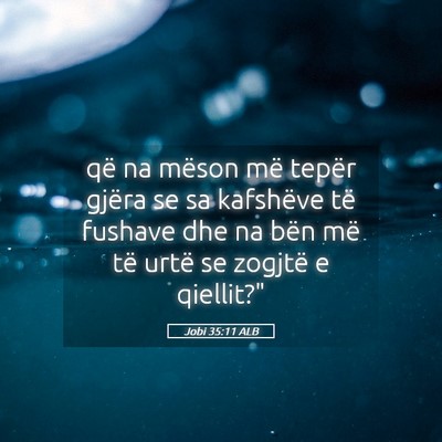 Picture 05 - Jobi 35:11 ALB - që na mëson më tepër gjëra se sa kafshëve - Bible Verse Picture