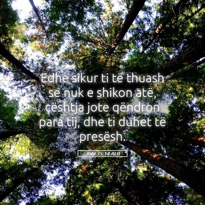 Picture 05 - Jobi 35:14 ALB - Edhe sikur ti të thuash se nuk e shikon atë, - Bible Verse Picture