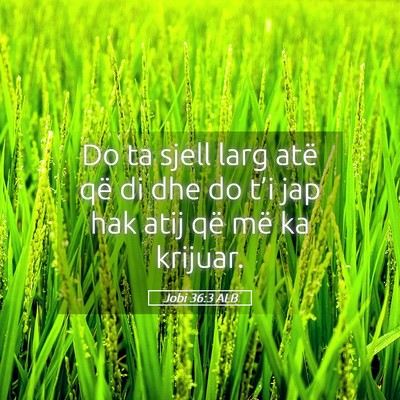 Picture 05 - Jobi 36:3 ALB - Do ta sjell larg atë që di dhe do t’i jap hak - Bible Verse Picture