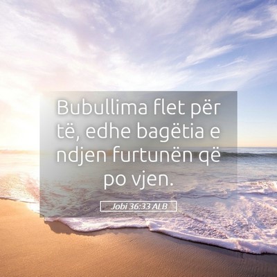 Picture 05 - Jobi 36:33 ALB - Bubullima flet për të, edhe bagëtia e ndjen - Bible Verse Picture