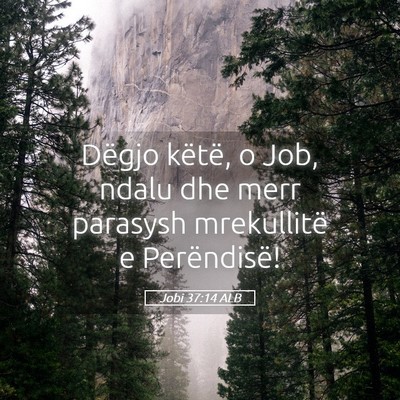 Picture 05 - Jobi 37:14 ALB - Dëgjo këtë, o Job, ndalu dhe merr parasysh - Bible Verse Picture