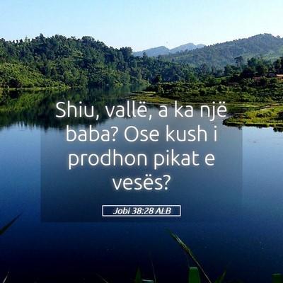 Picture 05 - Jobi 38:28 ALB - Shiu, vallë, a ka një baba? Ose kush i prodhon - Bible Verse Picture
