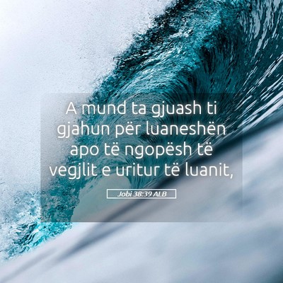 Picture 05 - Jobi 38:39 ALB - A mund ta gjuash ti gjahun për luaneshën apo - Bible Verse Picture
