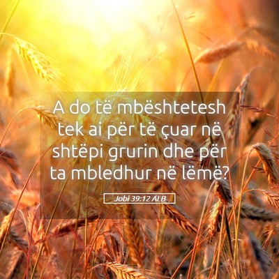 Picture 05 - Jobi 39:12 ALB - A do të mbështetesh tek ai për të çuar në - Bible Verse Picture