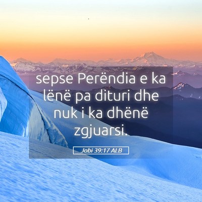 Picture 05 - Jobi 39:17 ALB - sepse Perëndia e ka lënë pa dituri dhe nuk i - Bible Verse Picture