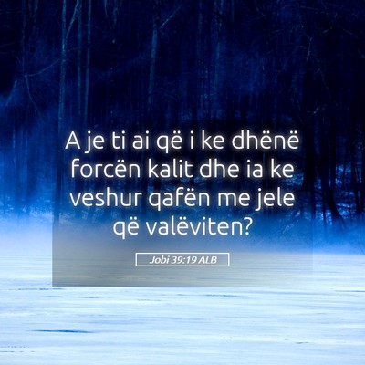 Picture 05 - Jobi 39:19 ALB - A je ti ai që i ke dhënë forcën kalit dhe ia - Bible Verse Picture