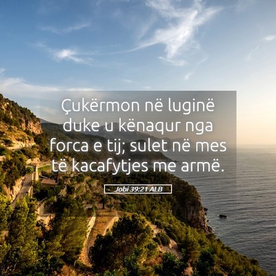 Picture 05 - Jobi 39:21 ALB - Çukërmon në luginë duke u kënaqur nga forca - Bible Verse Picture