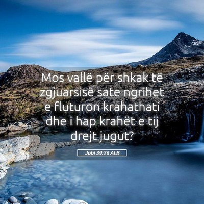 Picture 05 - Jobi 39:26 ALB - Mos vallë për shkak të zgjuarsisë sate - Bible Verse Picture
