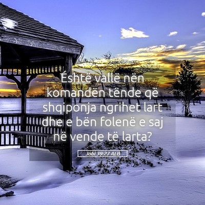 Picture 05 - Jobi 39:27 ALB - Éshtë vallë nën komandën tënde që - Bible Verse Picture