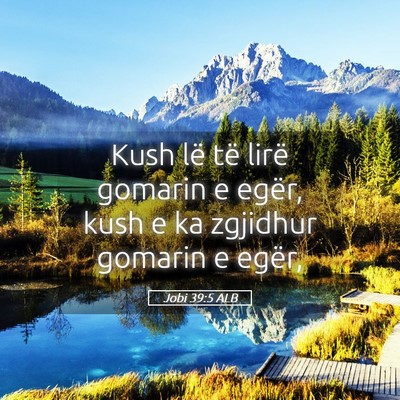 Picture 05 - Jobi 39:5 ALB - Kush lë të lirë gomarin e egër, kush e ka - Bible Verse Picture
