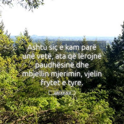Picture 05 - Jobi 4:8 ALB - Ashtu siç e kam parë unë vetë, ata që - Bible Verse Picture