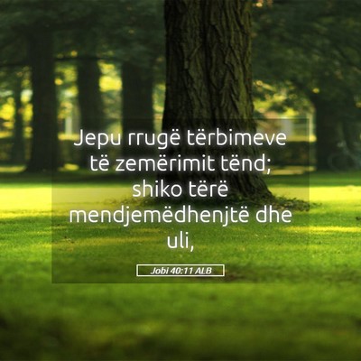 Picture 05 - Jobi 40:11 ALB - Jepu rrugë tërbimeve të zemërimit tënd; - Bible Verse Picture