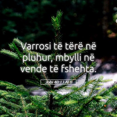 Picture 05 - Jobi 40:13 ALB - Varrosi të tërë në pluhur, mbylli në vende - Bible Verse Picture