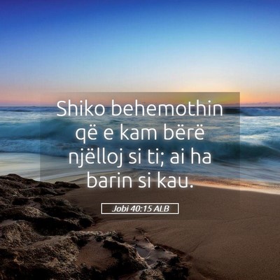 Picture 05 - Jobi 40:15 ALB - Shiko behemothin që e kam bërë njëlloj si ti; - Bible Verse Picture