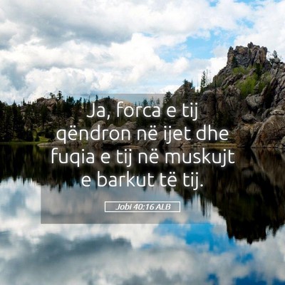 Picture 05 - Jobi 40:16 ALB - Ja, forca e tij qëndron në ijet dhe fuqia e tij - Bible Verse Picture