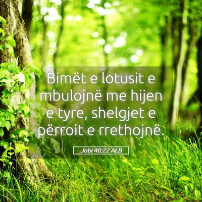 Picture 05 - Jobi 40:22 ALB - Bimët e lotusit e mbulojnë me hijen e tyre, - Bible Verse Picture