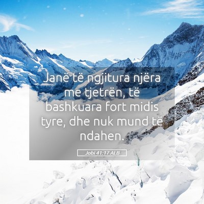 Picture 05 - Jobi 41:17 ALB - Janë të ngjitura njëra me tjetrën, të - Bible Verse Picture
