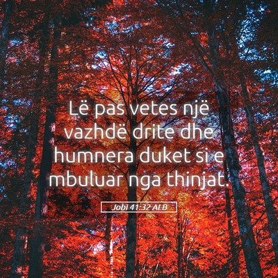 Picture 05 - Jobi 41:32 ALB - Lë pas vetes një vazhdë drite dhe humnera - Bible Verse Picture