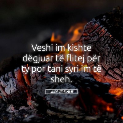 Picture 05 - Jobi 42:5 ALB - Veshi im kishte dëgjuar të flitej për ty por - Bible Verse Picture